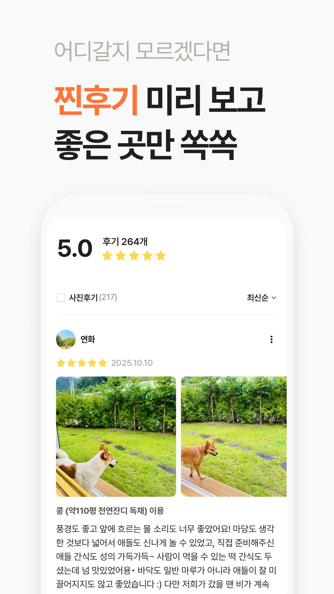 반려생활 - 반려동물 1등 여행앱 screenshot